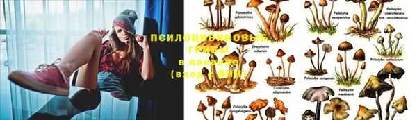 альфа пвп VHQ Аркадак