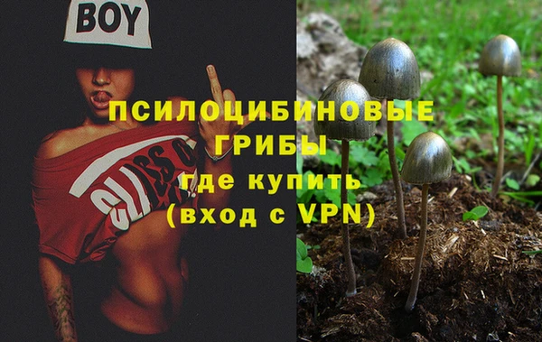 таблы Армянск